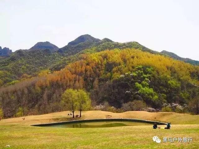 野村中国首席经济学家陆挺荣膺“2023年度十大宏观经济学家”